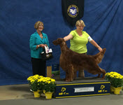 Grand Champion Kinloch's Vice Lord